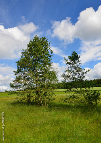 Wiesen - Felder - Wälder unter Himmelblau mit weißen Wolken im Frühling 