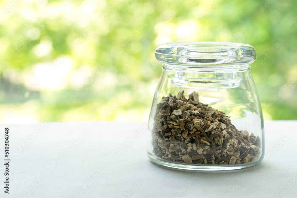 Dandelion Root in a Jar Dandelion Root in a Jar