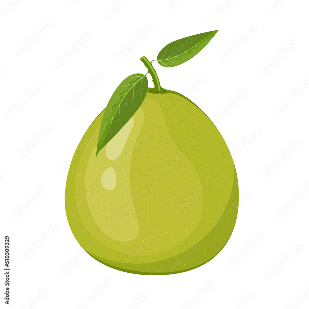 Pomelo with leaves, flat style vector illustration isolated on white background Pomelo with leaves, flat style vector illustration isolated on white background