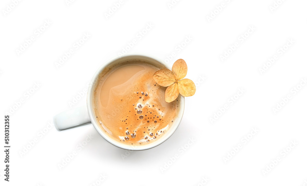 cup of coffee or cocoa with dry flower on white background close up. minimal style composition. autumn season concept. top view cup of coffee or cocoa with dry flower on white background close up. minimal style composition. autumn season concept. top view