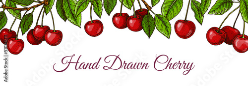 Colorful horizontal cherry design. Vector illustration in colored sketch style