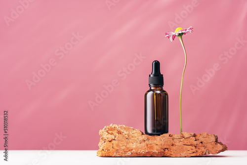 Natural medicine or essential aroma oil or beauty essence concept vials with dropper on stone podium stand with daisy flower and pink background. Face and body spa serum care concept banner