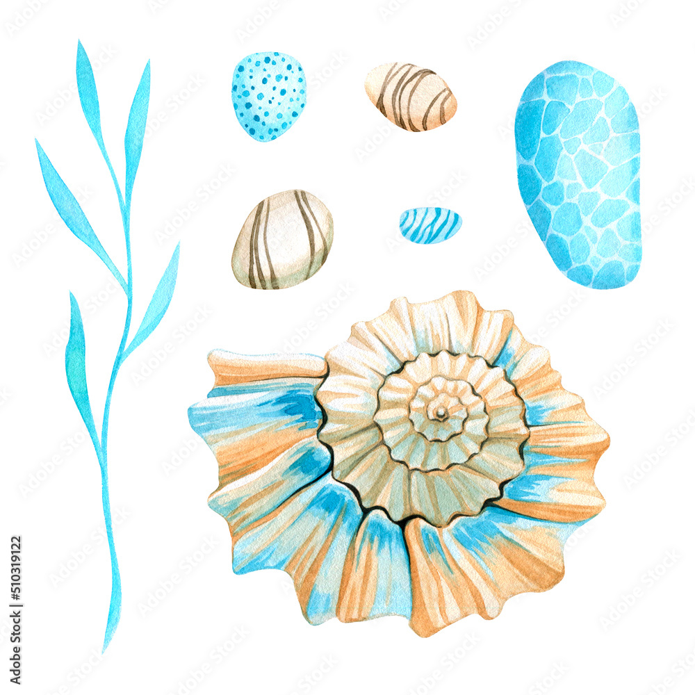 Seashell, alga and pebbles set.