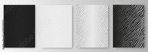 Collection of black, white and silver zebra print backgrounds