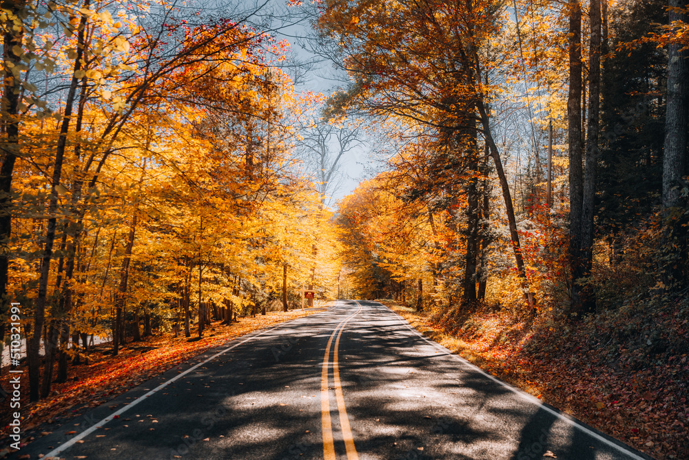 An autumn road in Vermont An autumn road in Vermont
