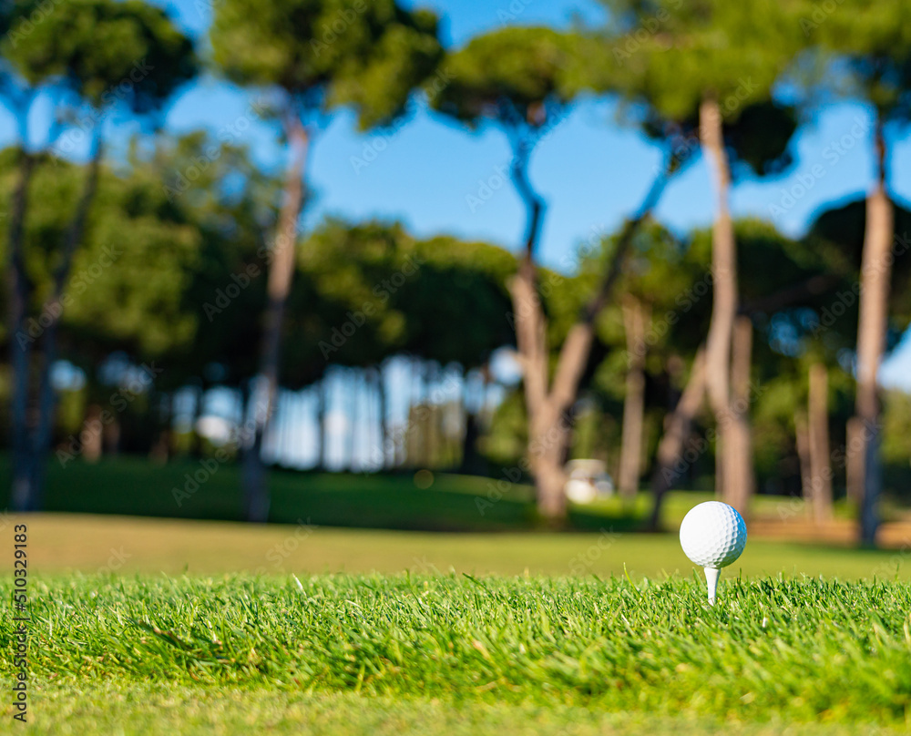Golf ball on grass with blurred background on tee. Copy space