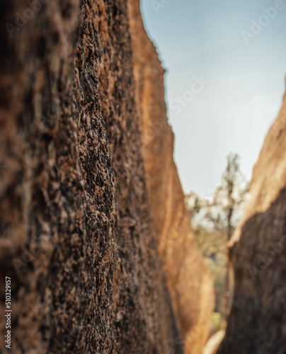 Rock Crevice