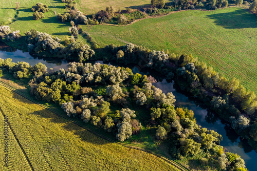 River bed with trees along the banks from the air. Protva river in Kaluzhskiy region, Russia photo