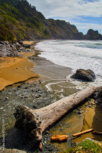 Large log on beach with cliffs and ocean waves © Nicholas J. Klein