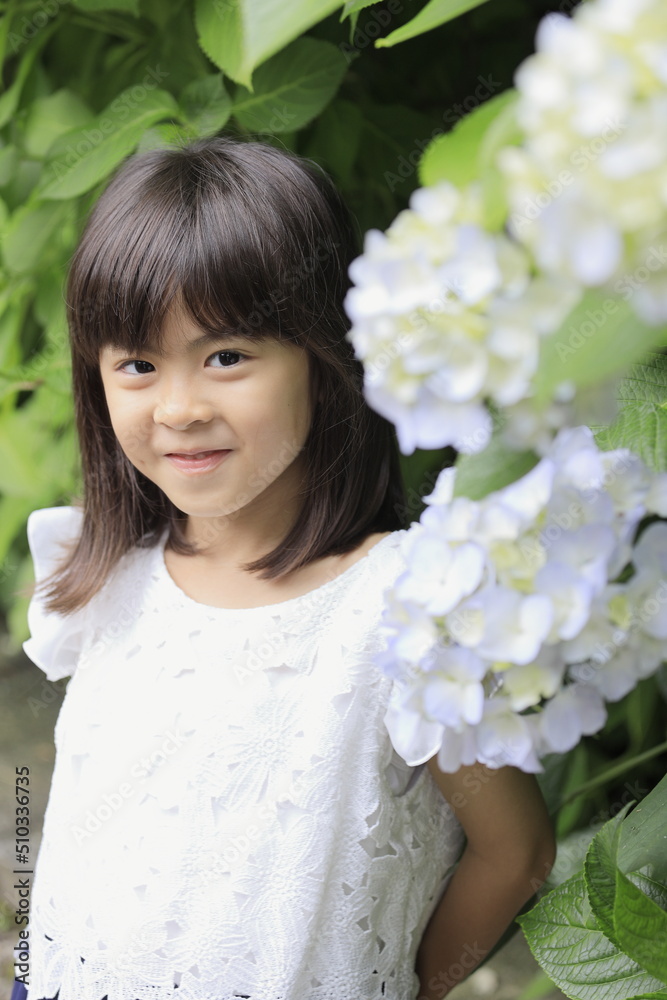 女子小学生 (7歳)とあじさい(白)