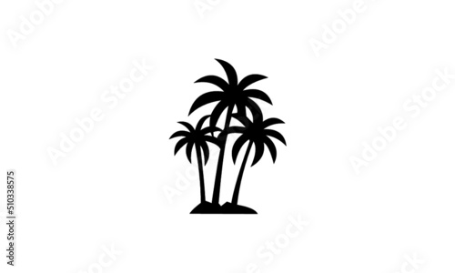 palm tree silhouette