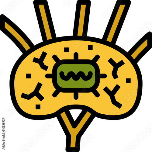 lymph nodes color outline icon