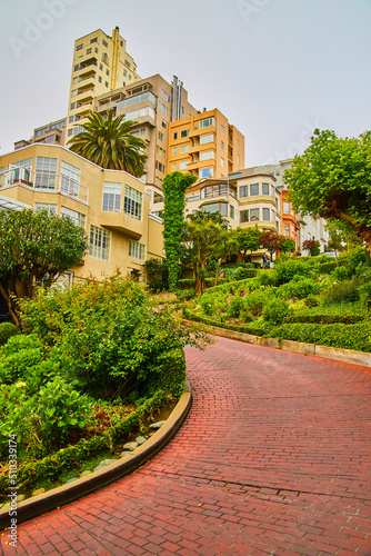 Photography Red brick road uphill on Lombard Street next to homes