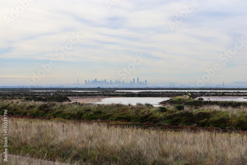 view of the wetlands and city skyline of melbourne through fog