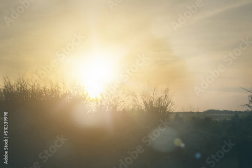 Abstract blurred sunlight colorful blurred bokeh background with retro effect autumn sunset sky have blue bright, white, and color orange calm. © Phokin