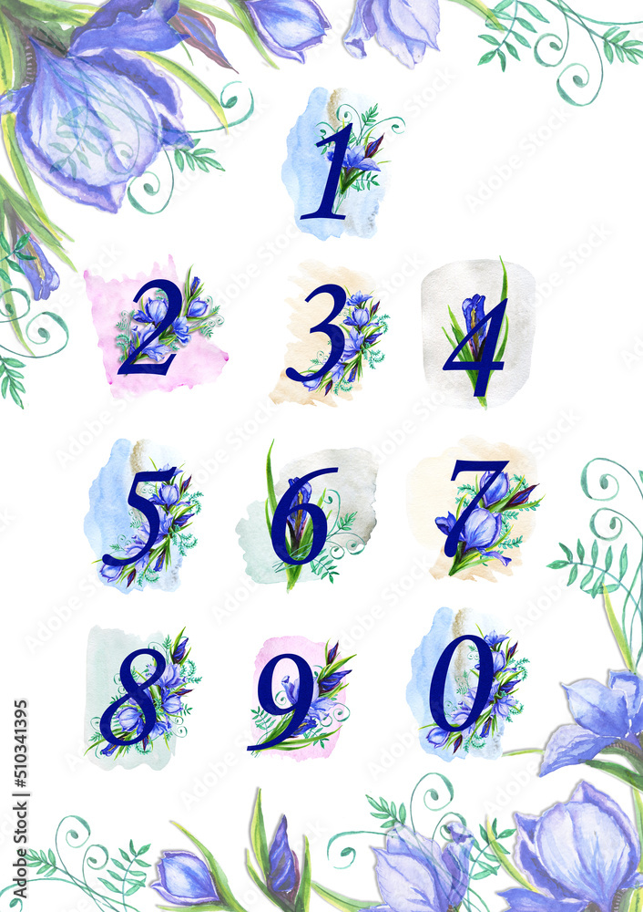 Watercolor number set with a bouquet of iris flowers ,
 blue flower petals viola, iris,
  shades with green stems. Napkin paper, wrapping paper,
Suitable for decoration of greeting cards,
Invitations,