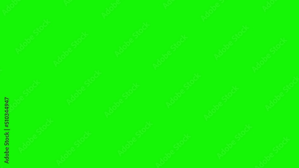 Bug walking animation on green screen chroma key Stock Video | Adobe Stock