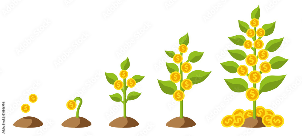 isolated vector graphic illustration of a stylized money plant, growing