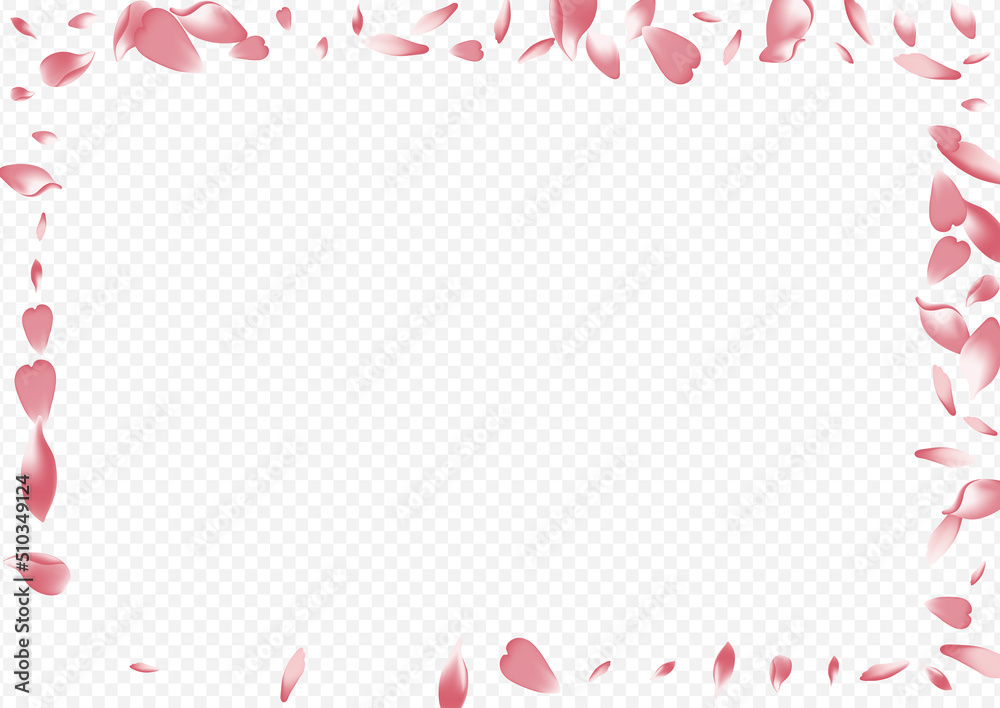 White Rosa Vector Transparent Background. Peach White Rosa Vector Transparent Background. Peach