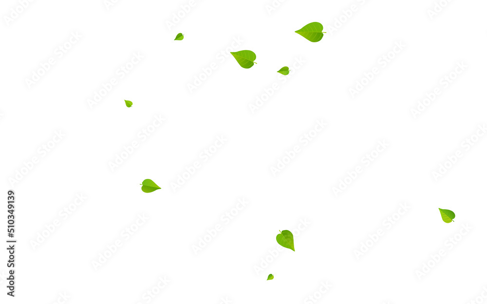 Grassy Leaves Fly Vector White Background Grassy Leaves Fly Vector White Background