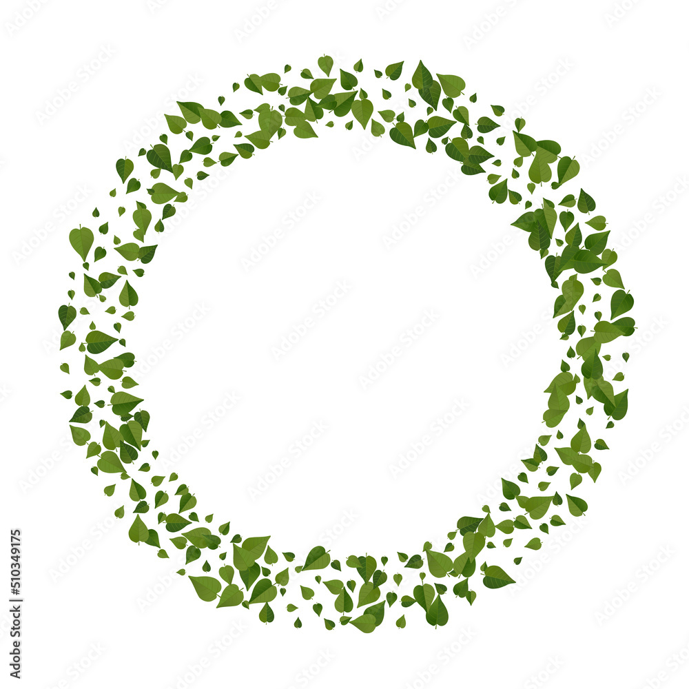 Olive Foliage Flying Vector White Background Olive Foliage Flying Vector White Background