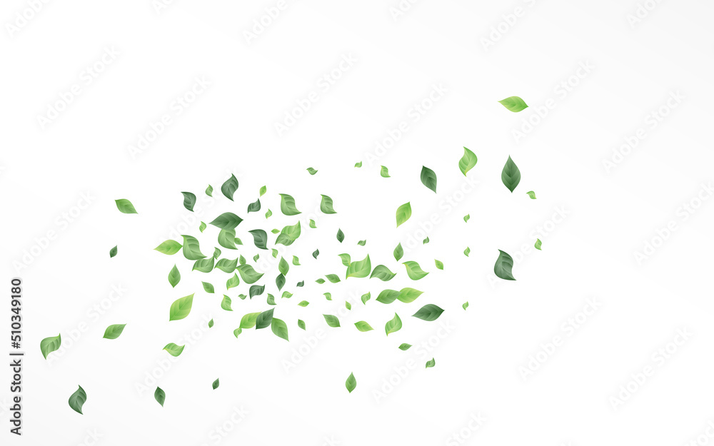 Grassy Greenery Abstract Vector White Background