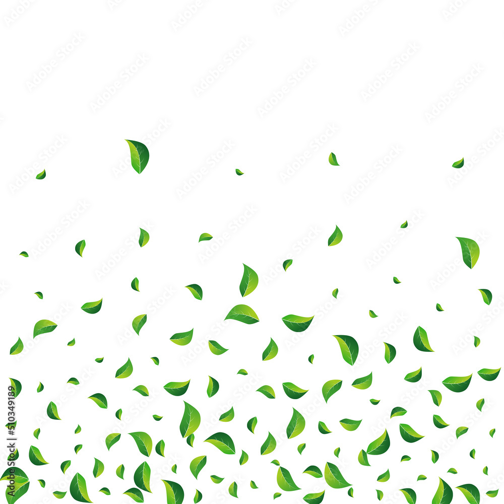 Olive Leaves Blur Vector White Background. Herbal Olive Leaves Blur Vector White Background. Herbal