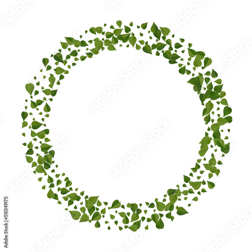 Olive Foliage Flying Vector White Background