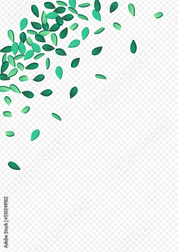 Olive Greens Motion Vector Transparent Background