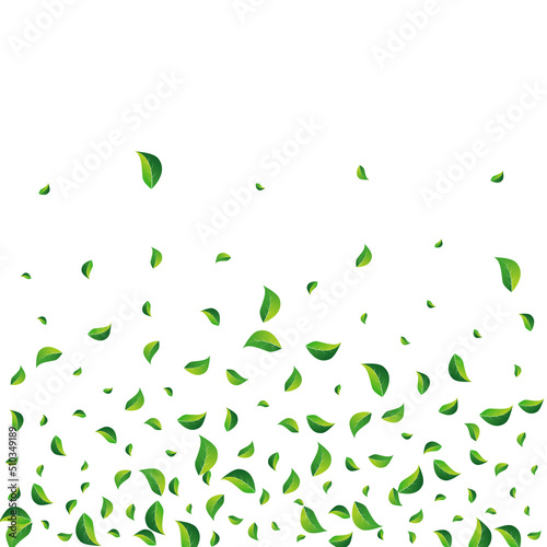 Olive Leaves Blur Vector White Background. Herbal