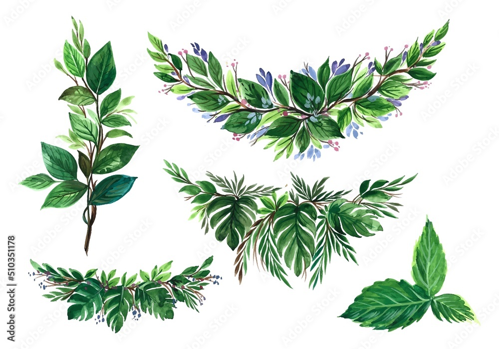 Beautiful bunch green watercolor leaf set design Beautiful bunch green watercolor leaf set design