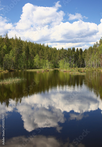 Idyllic view over lake and swamp in northern Sweden
