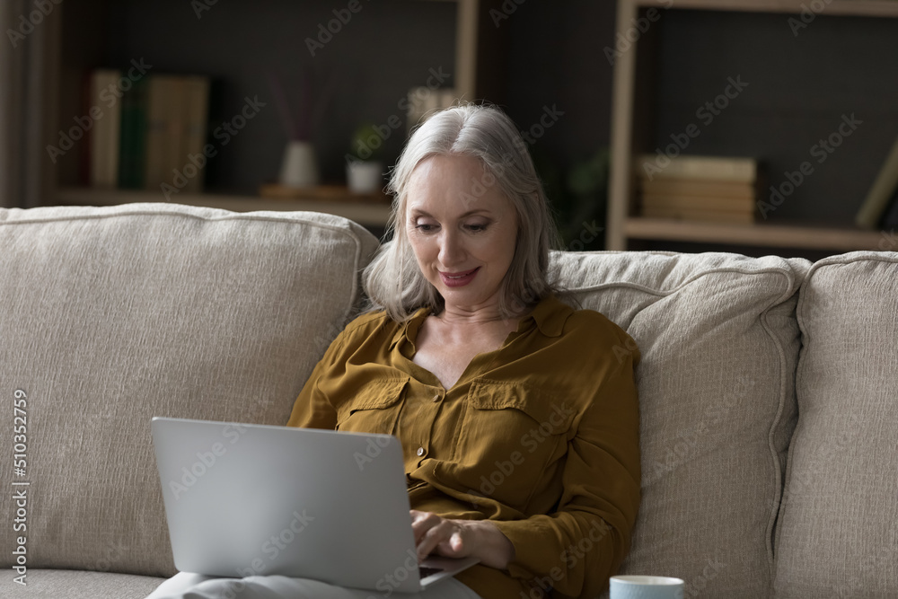 Fototapeta premium Pretty mature woman sit on sofa use laptop typing message, chatting in social media networks spend leisure alone at home with modern wireless tech. Electronic shopping, retail services client concept