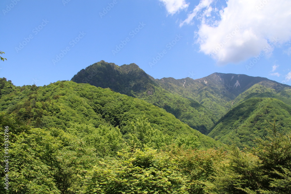 日本の山の風景。山梨県西沢渓谷を囲む山。鶏冠山（とさかやま）。