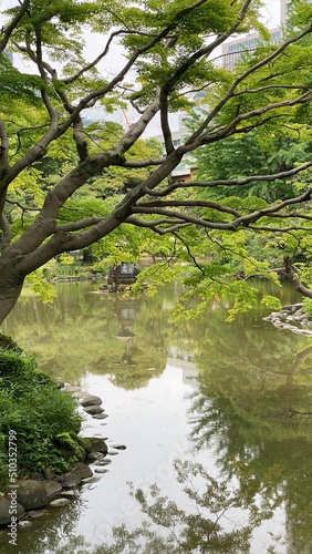 Fototapeta Naklejka Na Ścianę i Meble -  Japanese garden pond with wan statue in the middle, Tokyo Hibiya park, year 2022 June 11th