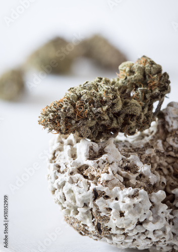 Cannabis buds dried and trimmed in natural light