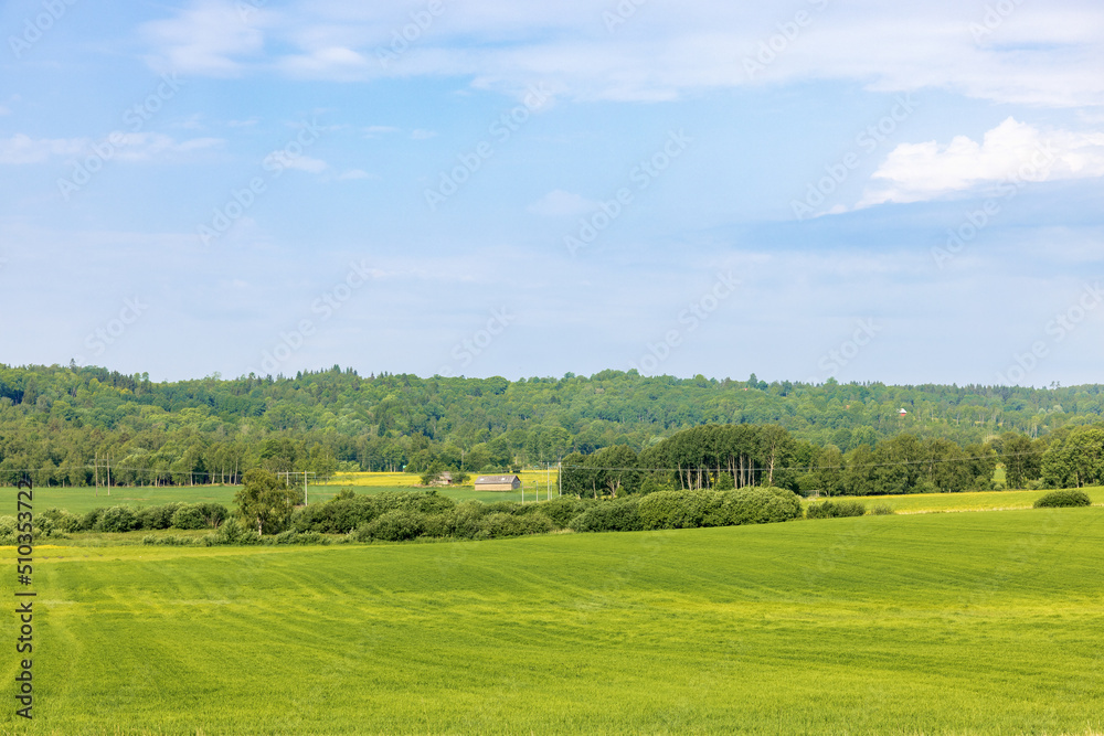 Obraz premium Lush green fields in the countryside