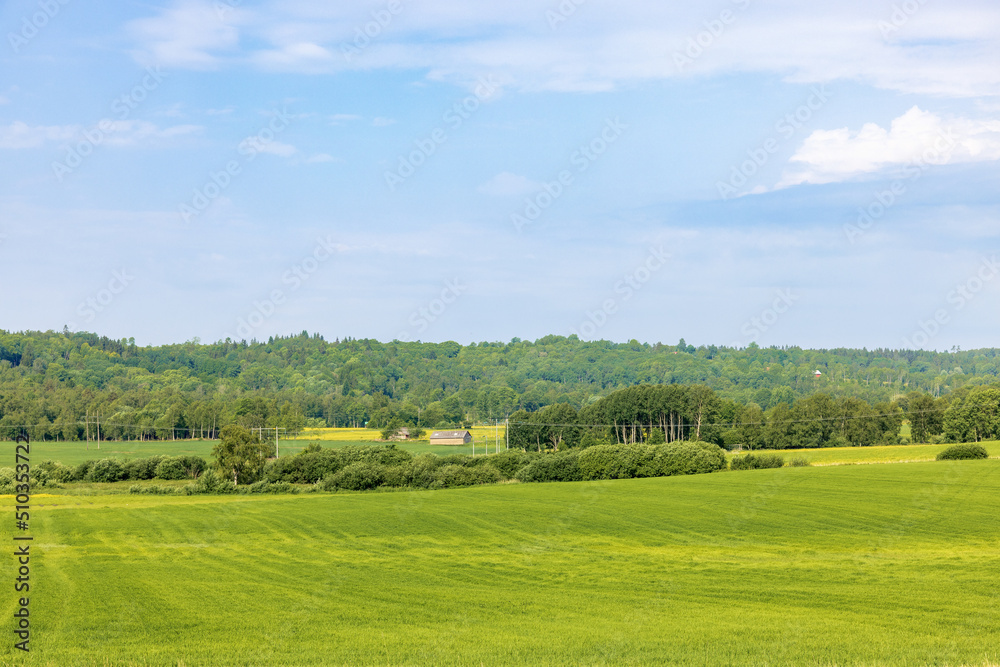 Lush green fields in the countryside