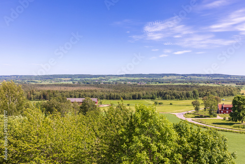 Scenic view at a rural landscape in the summer