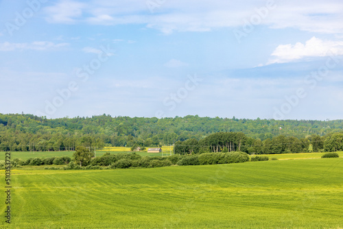 Lush green fields in the countryside © Lars Johansson