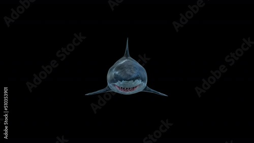 Great white shark swims to the camera slowly and open its jaws and attacks to the audience -
Megalodon with big open jaw 
and eats the camera. the footage has a clean alpha channel in 4k res -
scary photo