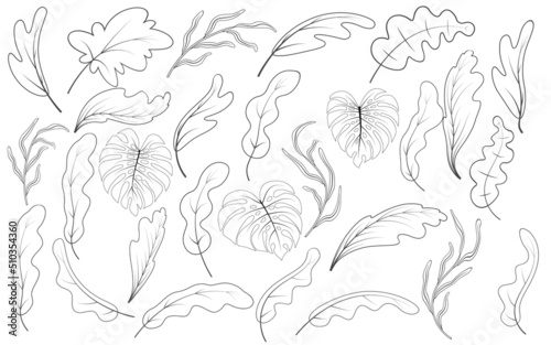 Tropical style vector hand drawn