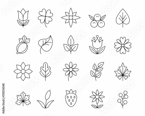 Flower symbols. Plant thin line logo. Botanical ornament pattern elements. Berries and leaves. Organic modern shapes. Clover or maple foliage. Buddhism and beauty. Vector icons set