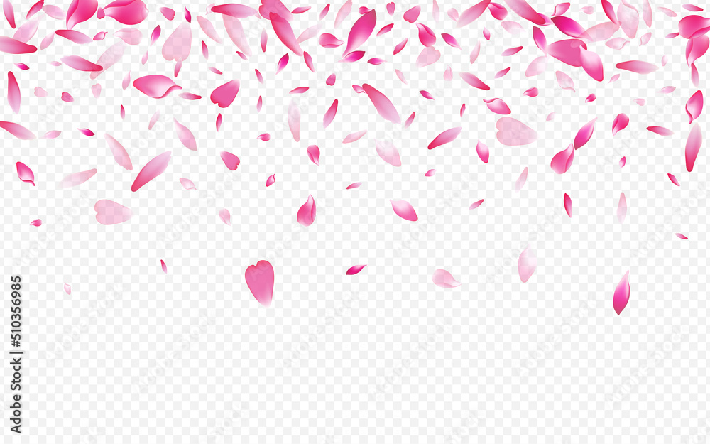 Color Sakura Vector Transparent Background.