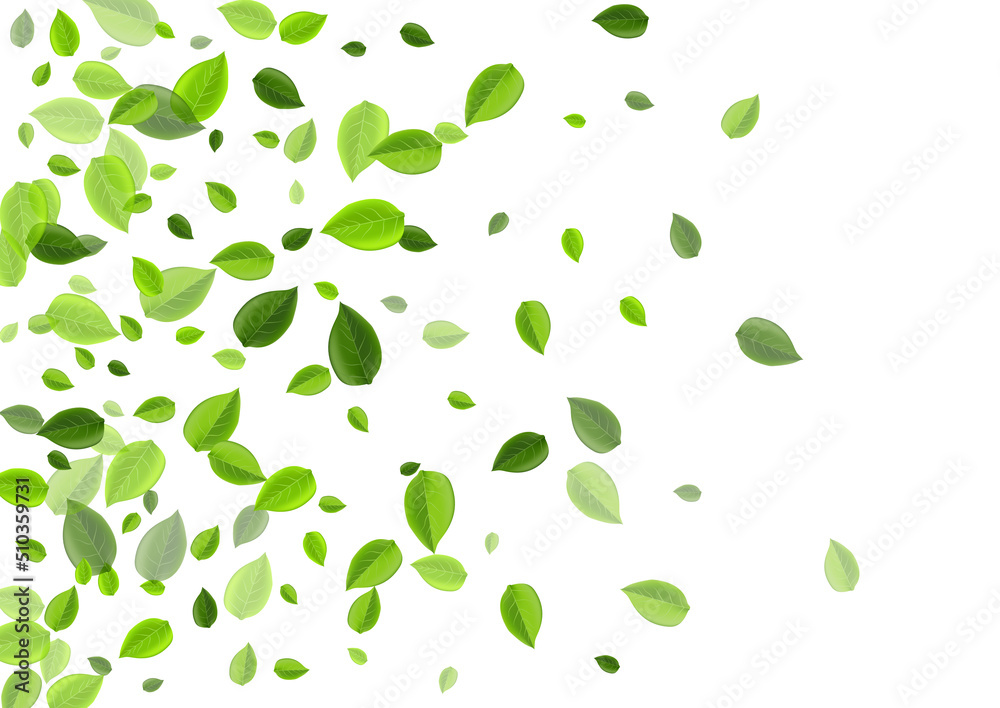 Grassy Greens Herbal Vector Wallpaper. Grassy Greens Herbal Vector Wallpaper.