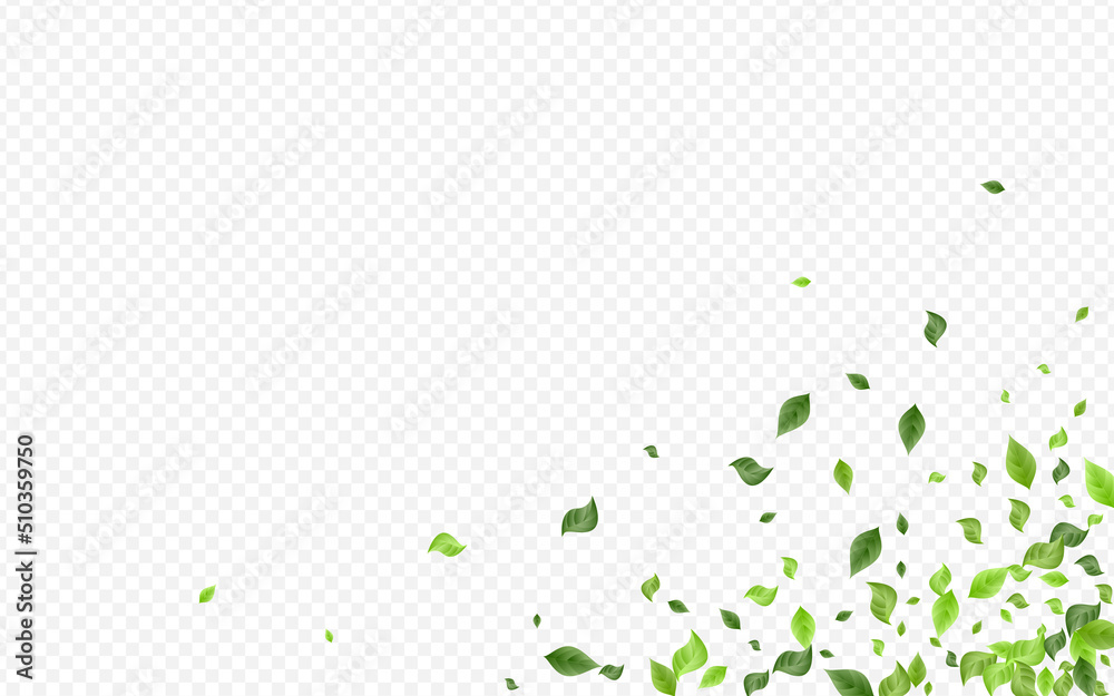 Green Greenery Herbal Vector Transparent Green Greenery Herbal Vector Transparent