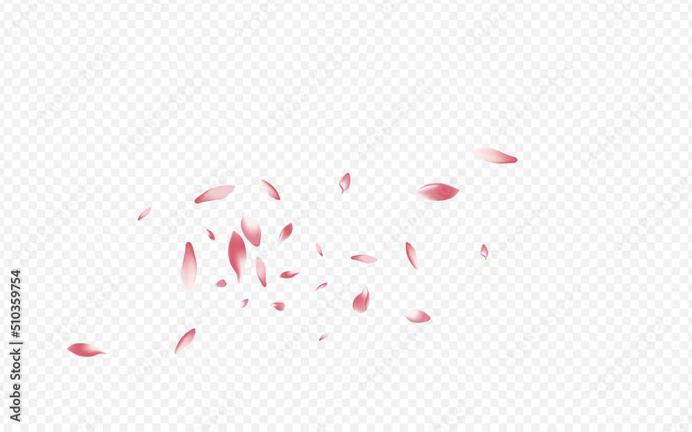 Purple Blooming Vector Transparent Background.