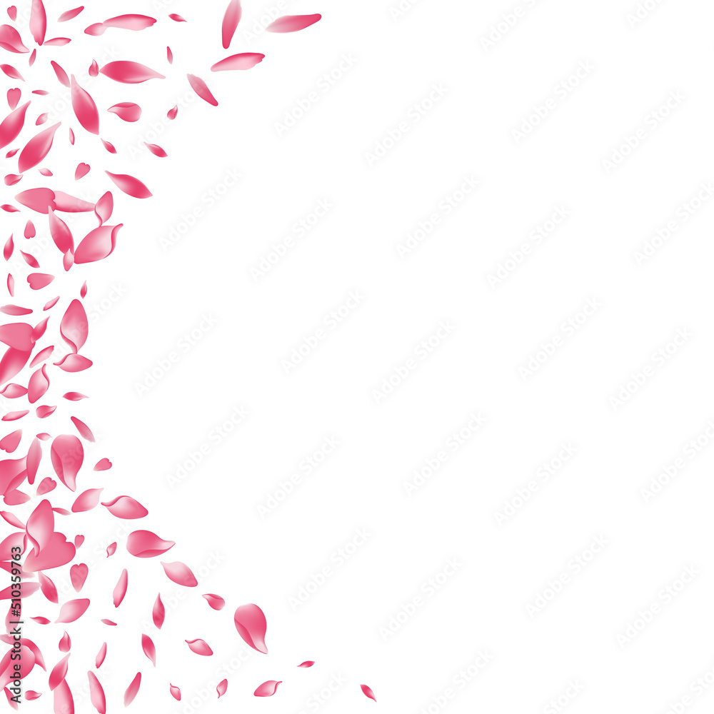 Purple Apple Petal Vector White Background. White Purple Apple Petal Vector White Background. White
