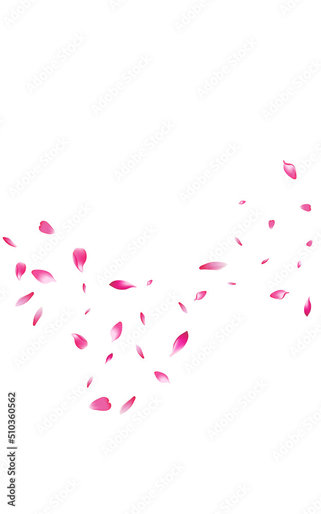 Red Peach Beauty Vector White Background. Blur