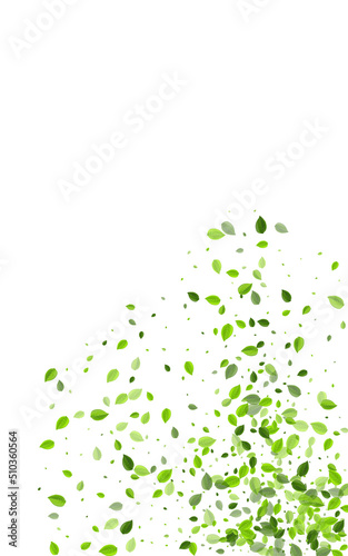 Swamp Greens Nature Vector White Background.